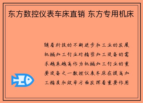 东方数控仪表车床直销 东方专用机床